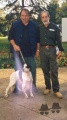 Setter Anglais BUL DEL ZAGNIS Setter Anglais BUL DEL ZAGNIS